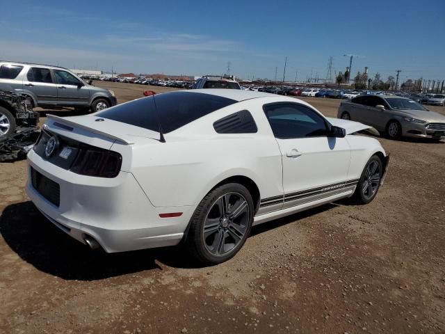 2013 Ford Mustang