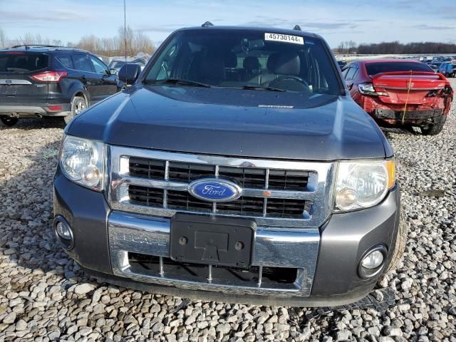 2011 Ford Escape Limited