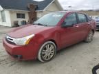 2010 Ford Focus SEL