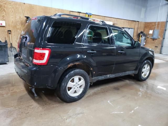 2011 Ford Escape XLT