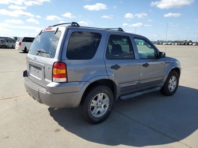 2007 Ford Escape XLT