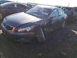 Salvage cars for sale at Elgin, IL auction: 2010 Honda Accord EX