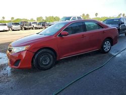 Vehiculos salvage en venta de Copart Mercedes, TX: 2013 Toyota Camry L