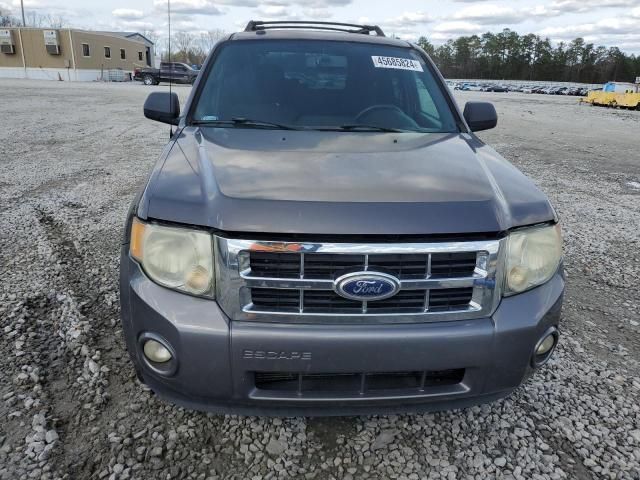 2010 Ford Escape XLT