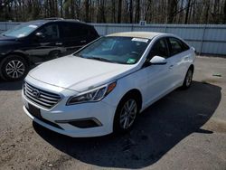 Salvage cars for sale at Glassboro, NJ auction: 2016 Hyundai Sonata SE