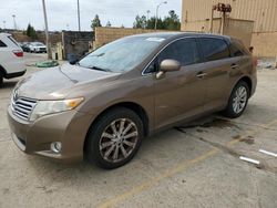 Salvage cars for sale at Gaston, SC auction: 2010 Toyota Venza