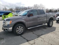 2014 Ford F150 Supercrew for sale in Rogersville, MO