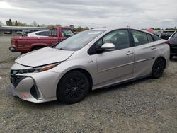 Toyota Prius salvage cars for sale: 2017 Toyota Prius Prime