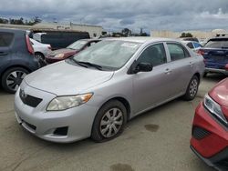 Salvage cars for sale from Copart Martinez, CA: 2010 Toyota Corolla Base