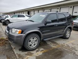 2004 Ford Escape XLT for sale in Louisville, KY