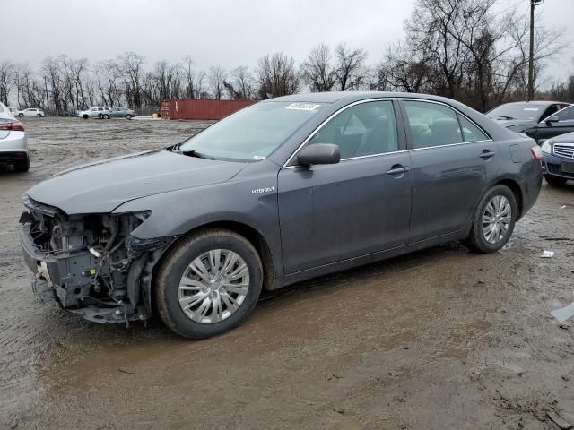 2010 Toyota Camry Hybrid