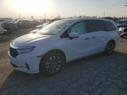 Salvage cars for sale at Indianapolis, IN auction: 2023 Honda Odyssey EXL