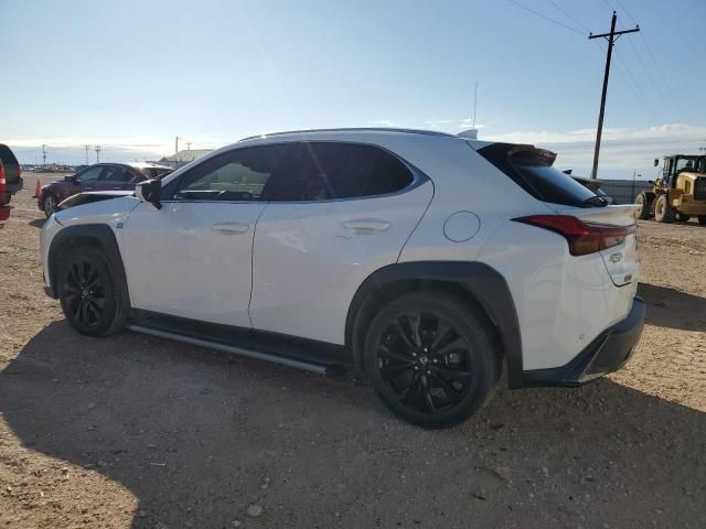 2019 Lexus UX 200