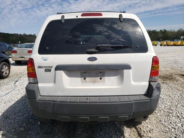 2006 Ford Escape XLT