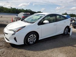 Salvage cars for sale from Copart Apopka, FL: 2016 Toyota Prius