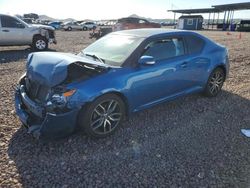 Salvage cars for sale at Phoenix, AZ auction: 2014 Scion TC