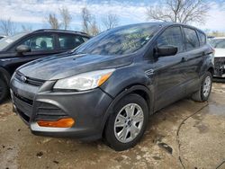 Salvage cars for sale at Bridgeton, MO auction: 2015 Ford Escape S