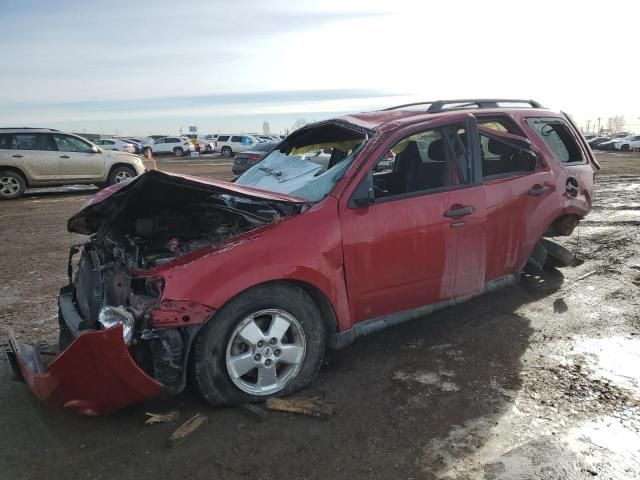 2010 Ford Escape XLT