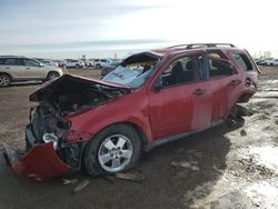 Salvage cars for sale at Rocky View County, AB auction: 2010 Ford Escape XLT