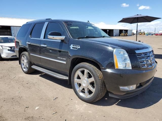 2011 Cadillac Escalade Luxury