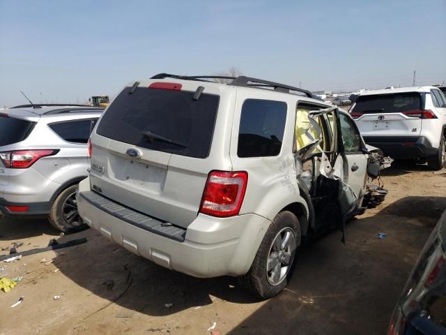 2008 Ford Escape XLT