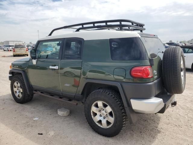 2010 Toyota FJ Cruiser