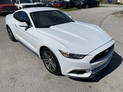 2017 Ford Mustang for sale in Lebanon, TN