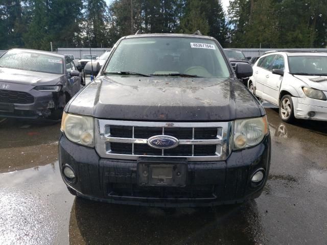 2008 Ford Escape XLT