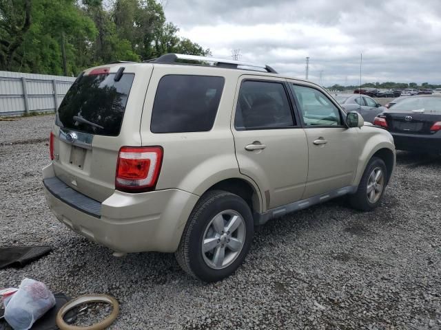 2010 Ford Escape Limited