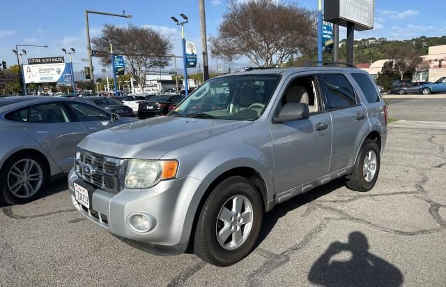 2010 Ford Escape XLT