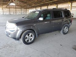 Honda Pilot salvage cars for sale: 2011 Honda Pilot EXL