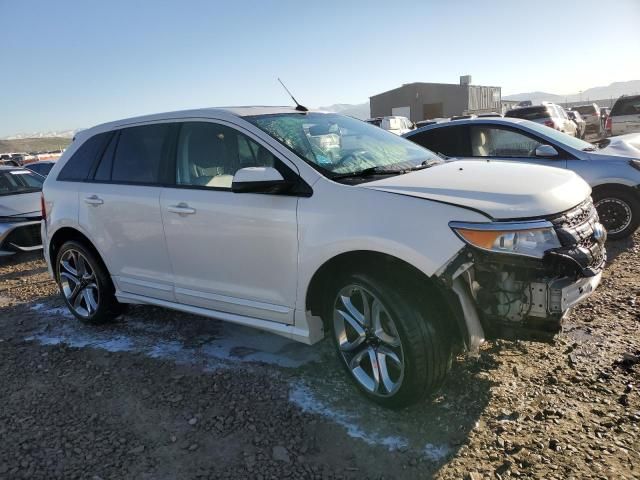 2014 Ford Edge Sport