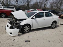 Toyota Vehiculos salvage en venta: 2010 Toyota Corolla Base