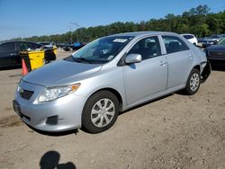 Salvage cars for sale at Greenwell Springs, LA auction: 2009 Toyota Corolla Base