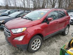 Ford salvage cars for sale: 2019 Ford Ecosport SE