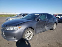 Salvage cars for sale at Sacramento, CA auction: 2015 Lexus ES 300H