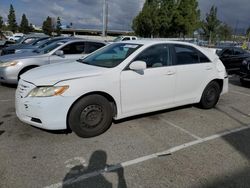 Vehiculos salvage en venta de Copart Rancho Cucamonga, CA: 2009 Toyota Camry Base