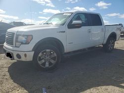 Salvage cars for sale at Earlington, KY auction: 2012 Ford F150 Supercrew