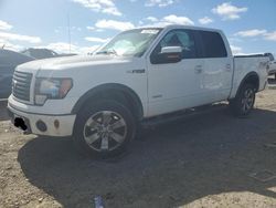 Ford f-150 salvage cars for sale: 2012 Ford F150 Supercrew