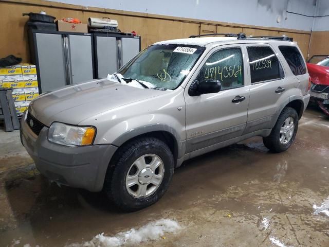 2001 Ford Escape XLT