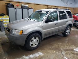 Vehiculos salvage en venta de Copart Kincheloe, MI: 2001 Ford Escape XLT