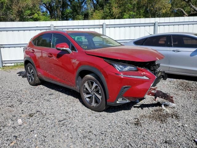 2021 Lexus NX 300H Base