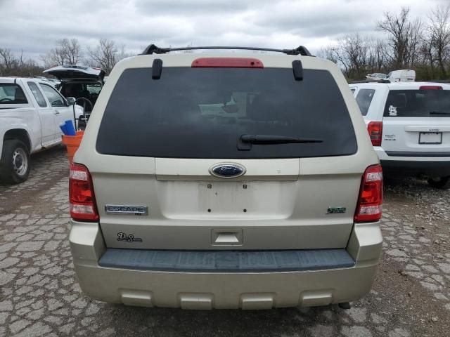 2010 Ford Escape XLT