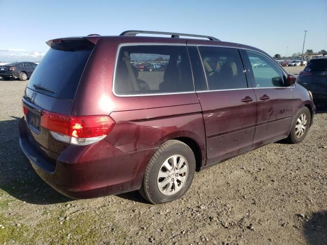 2008 Honda Odyssey EXL