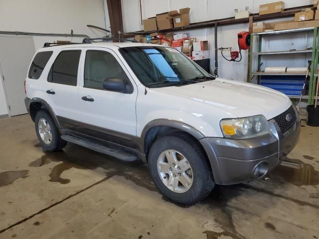 2006 Ford Escape XLT