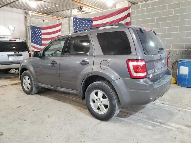 2011 Ford Escape XLT