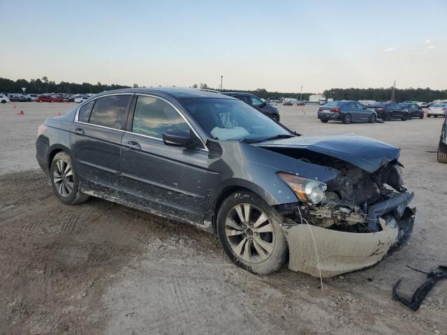 2010 Honda Accord LXP