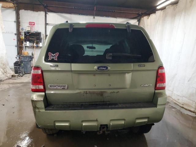 2008 Ford Escape XLT