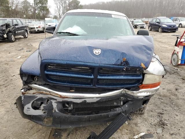 2001 Dodge Dakota Quattro