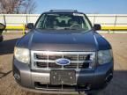 2011 Ford Escape XLS